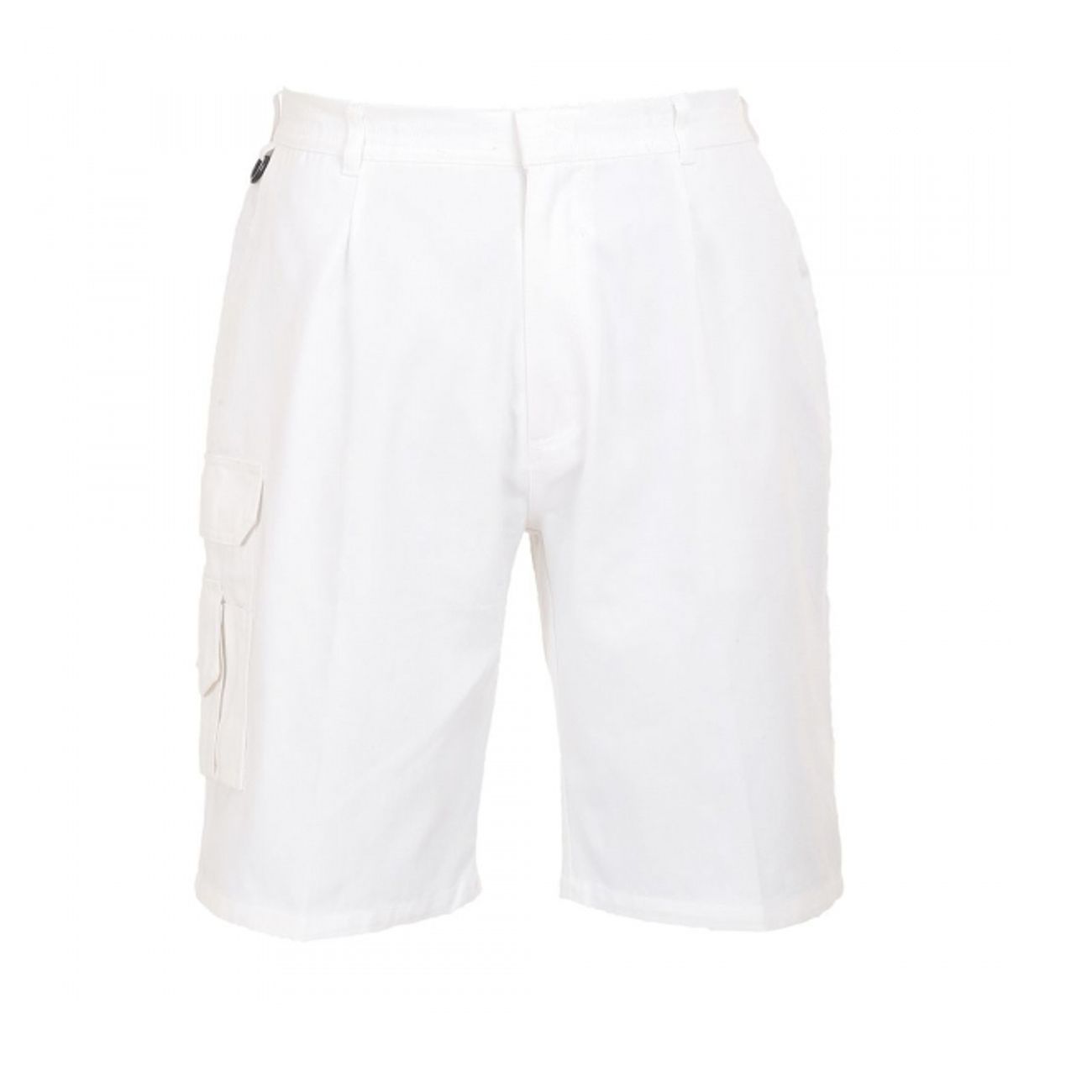 Painter Short