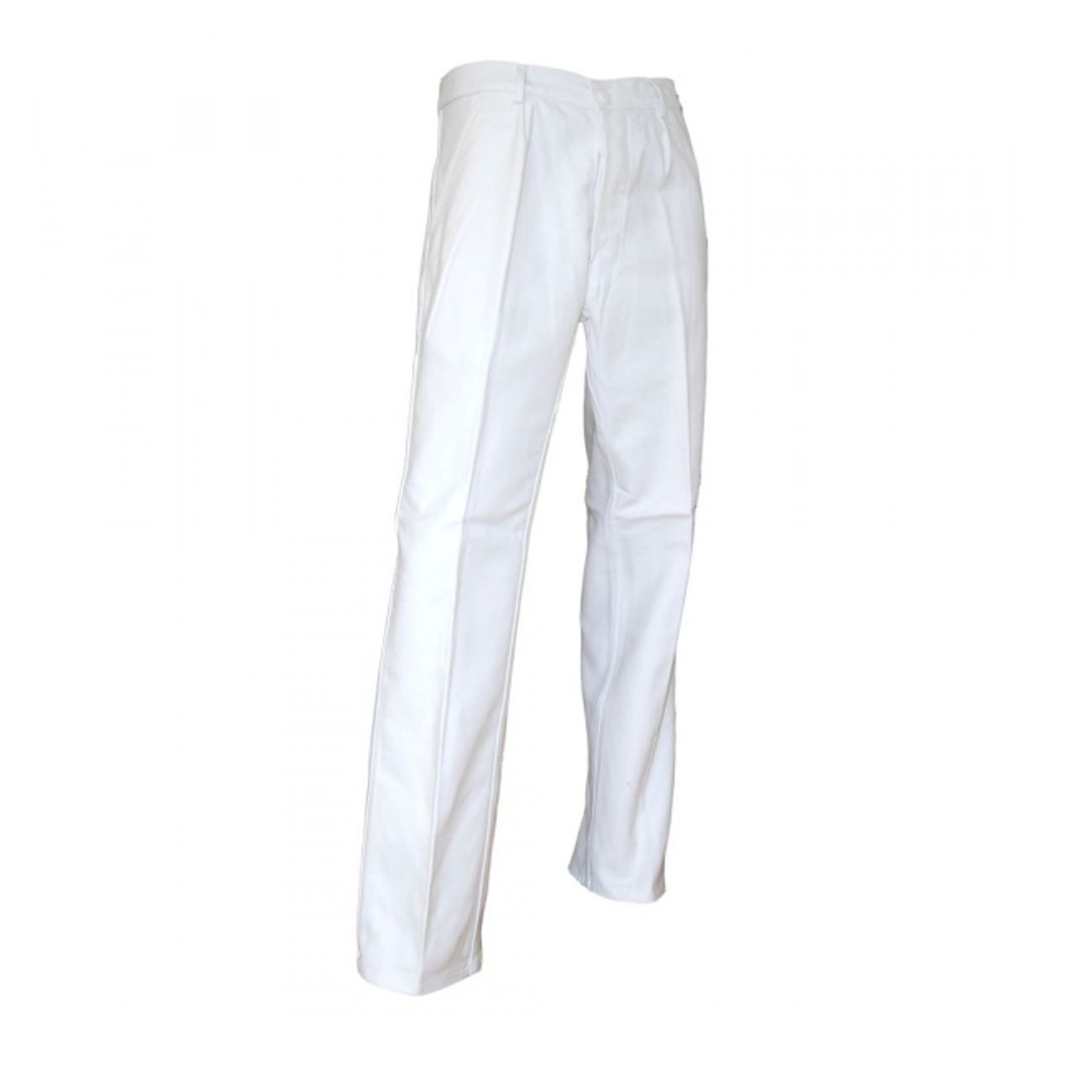 PAINTBRUSH PAINTER TROUSER 