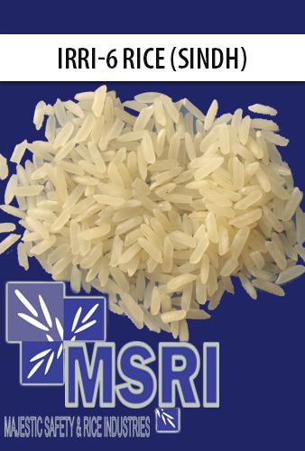 IRRI-6 Rice (Sindh)